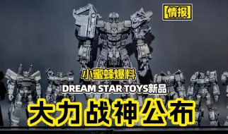 Download Video: 【情报速递】Dream Star Toys DST02大力战神强势来袭！