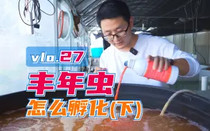 Download Video: 丰年虫孵化后怎么分离壳？