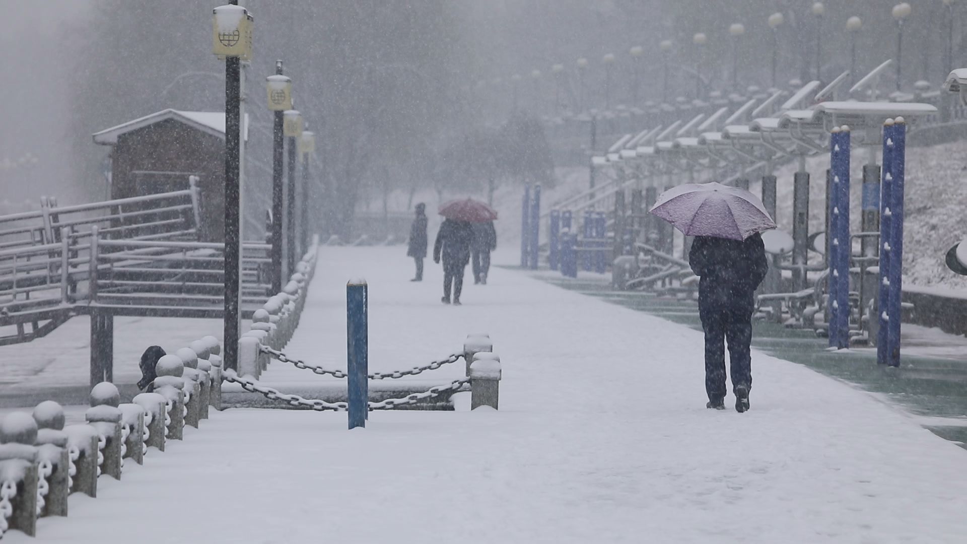 寒潮预警升级至最高等级橙色,大范围雨雪冰冻再度来袭,局地降温或超20℃哔哩哔哩bilibili