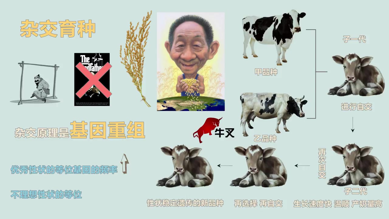 【生物】常见育种方法哔哩哔哩bilibili