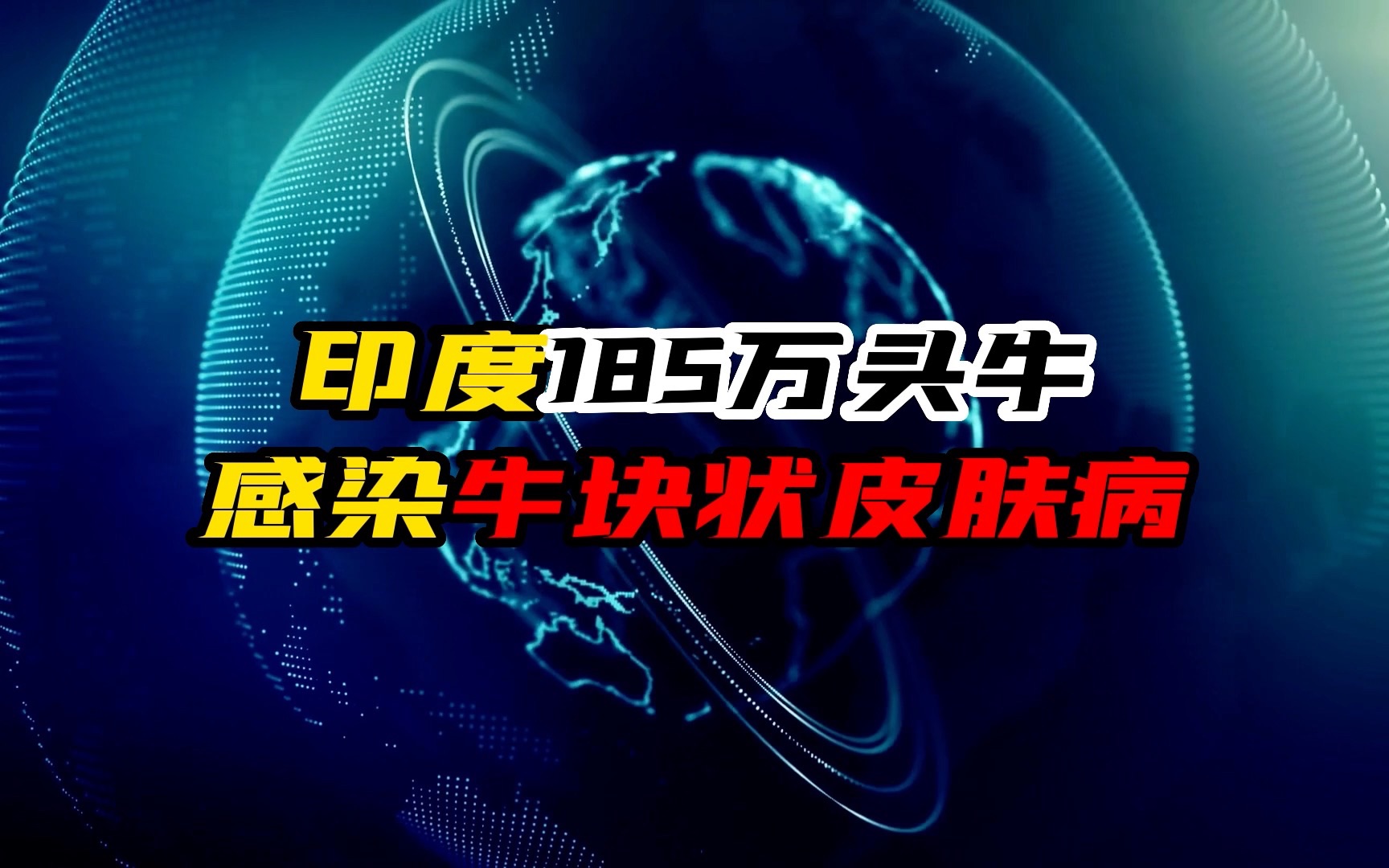 印度185万头牛感染牛块状皮肤病 已致7.5万头牛死亡哔哩哔哩bilibili
