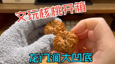 龙门涧核桃-哔哩哔哩_Bilibili