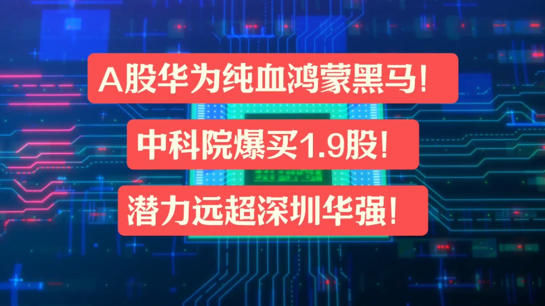 A股中最“纯血”的华为鸿蒙黑马,中科院爆买1.9股,潜力远超深圳华强!哔哩哔哩bilibili