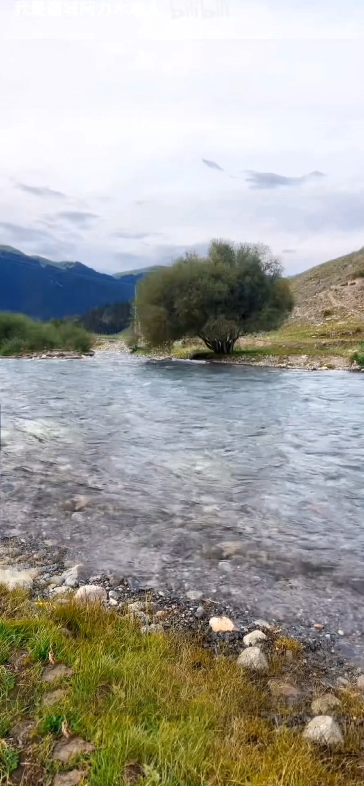 "假壁纸"1080p60帧可以拿都可以拿