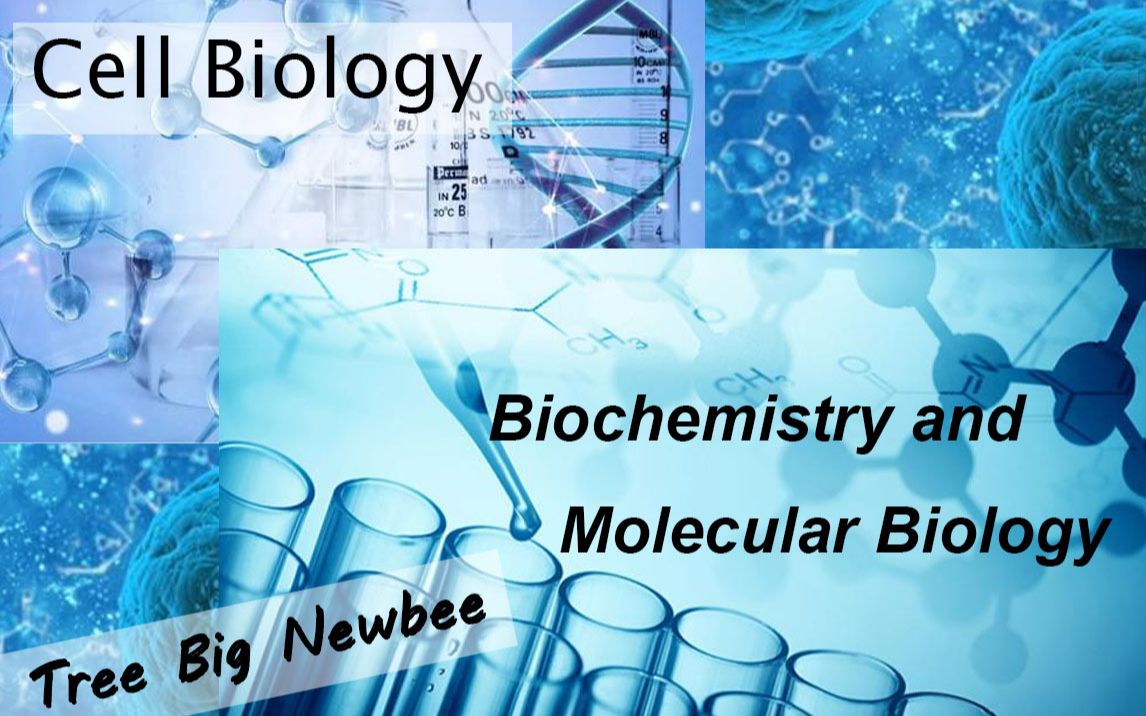 [图][分子生物学]第六章《基因功能研究技术》