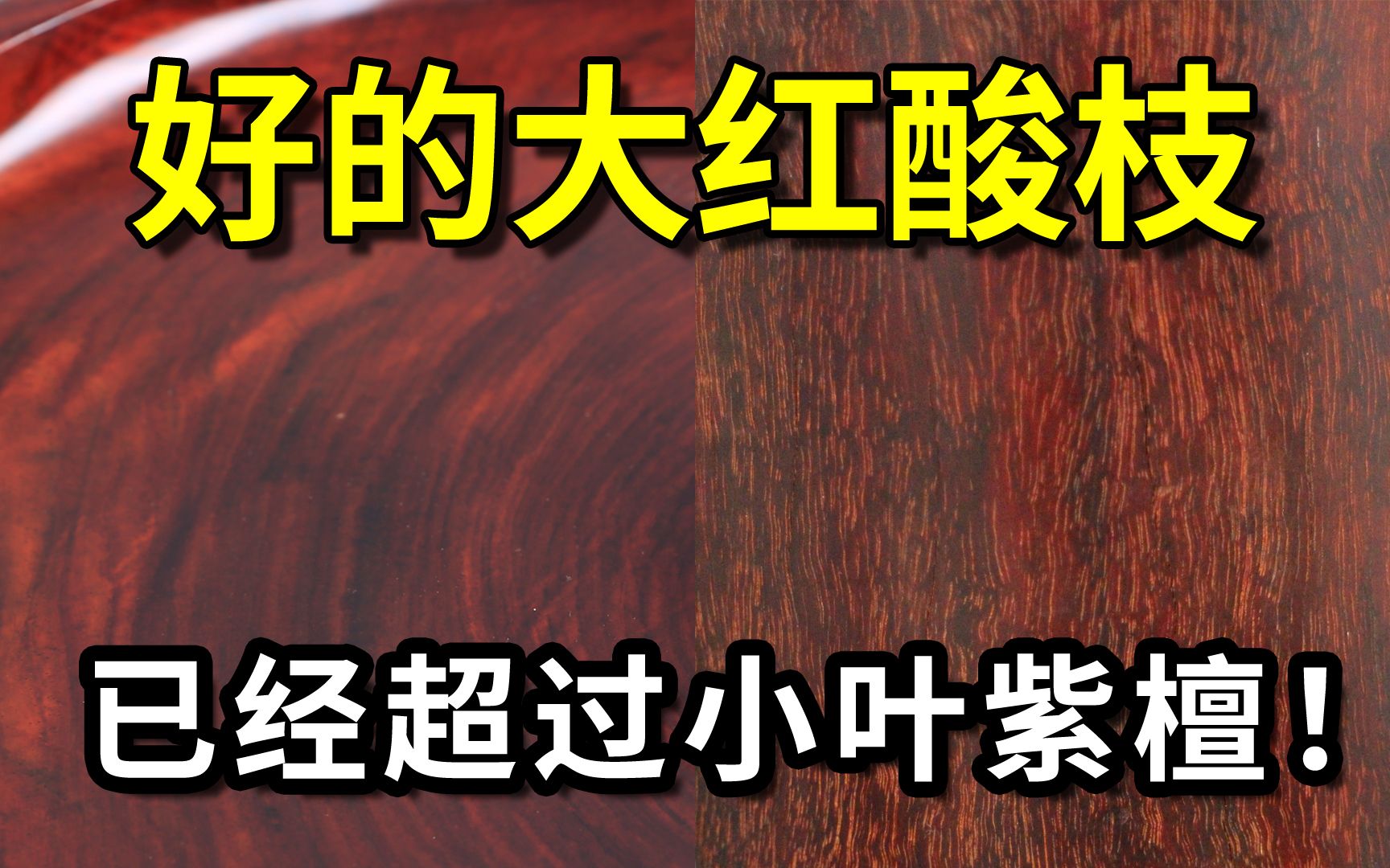 好的大红酸枝已经超过小叶紫檀!高达800万到1000万一吨哔哩哔哩bilibili