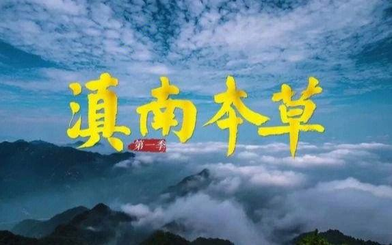 [图]纪录片《滇南本草》全5集  无台标完整版