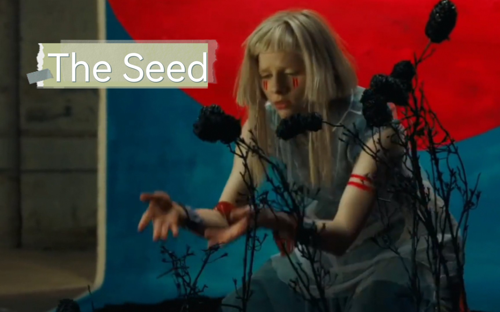 [图]★鳗鱼卿中英字幕✩系列双语MV AURORA - The Seed