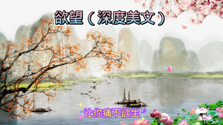 欲望(深度美文)哔哩哔哩bilibili