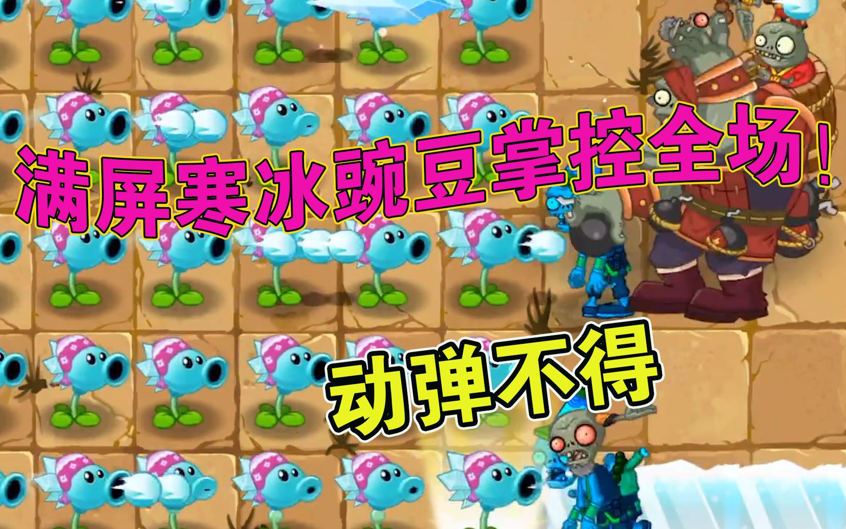 植物大战僵尸:冰冻豆寒风刺骨,让僵尸们原地瑟瑟发抖