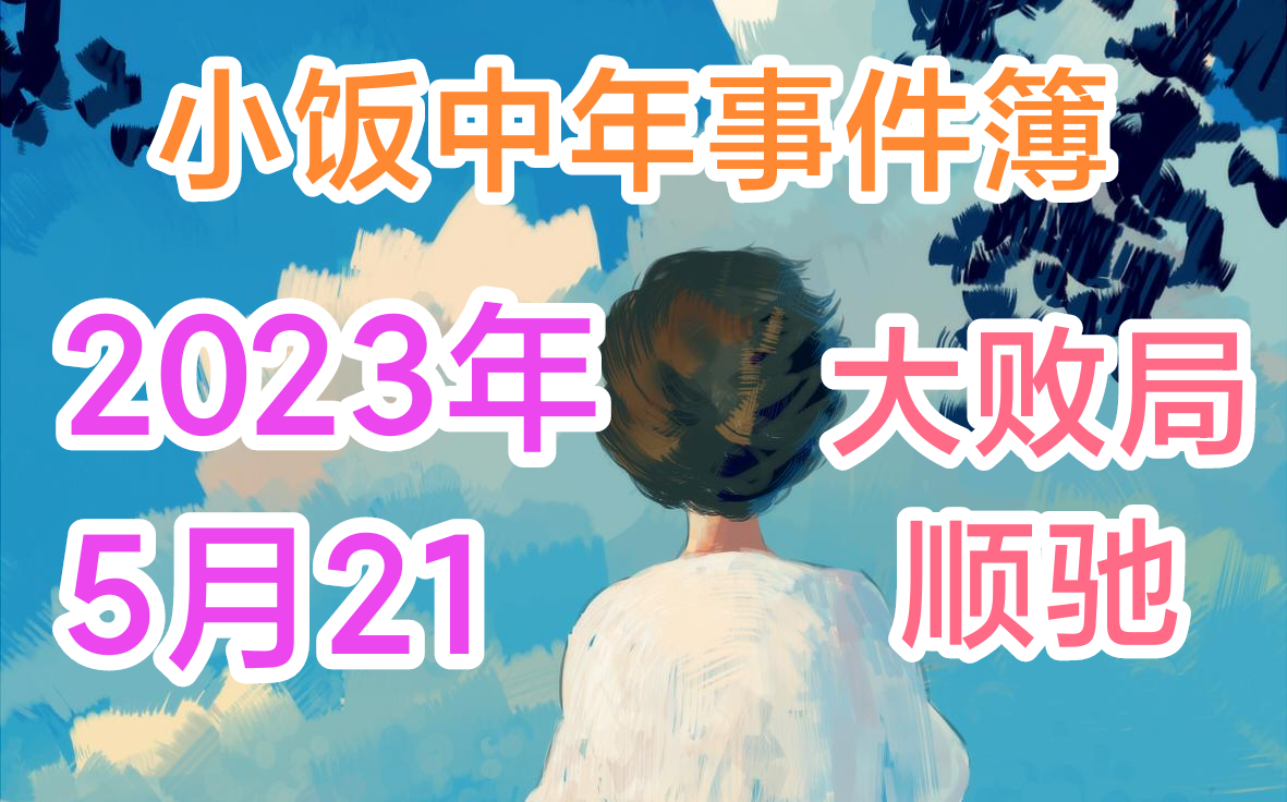 小饭中年事件簿2023.05.21  大败局之顺驰末路哔哩哔哩bilibili