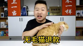 Download Video: 商家跑路平台承诺售后，六个月前网购的无毛猫，还能得到赔偿吗？