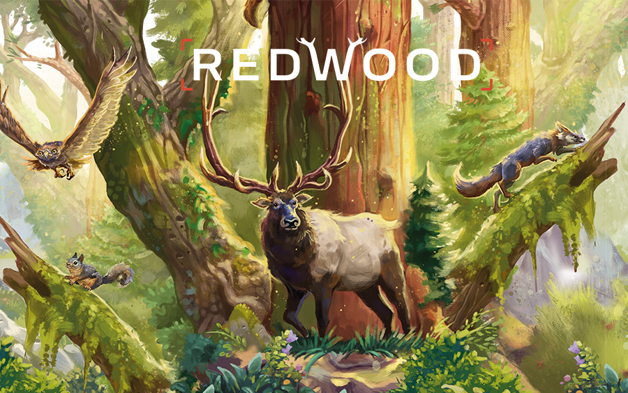 Redwood桌游教学