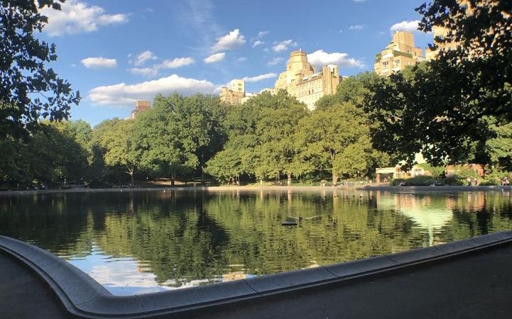 纽约曼哈顿中央公园centralpark《今天去哪儿?