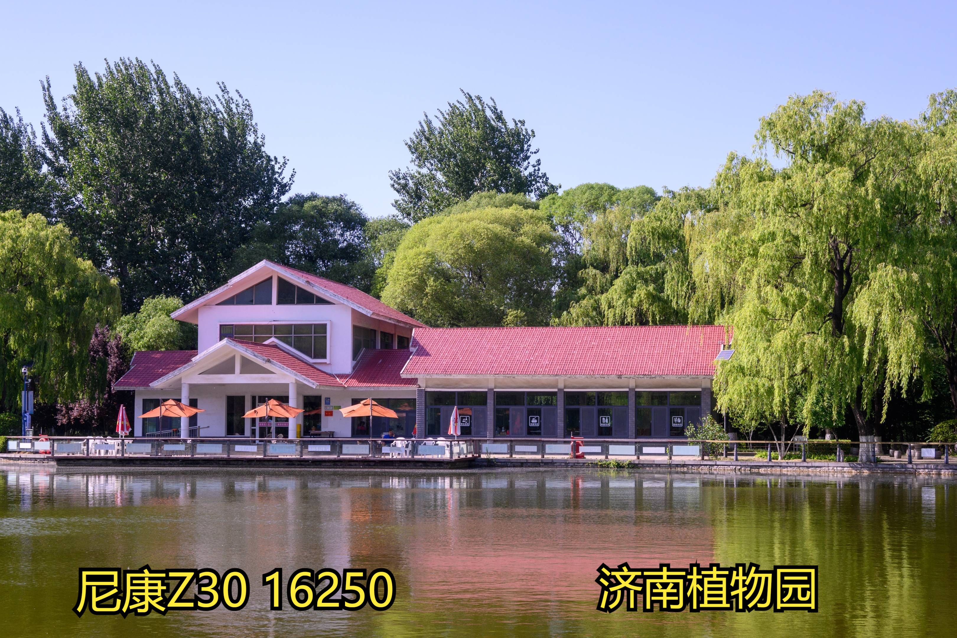 尼康z30 16250 济南植物园