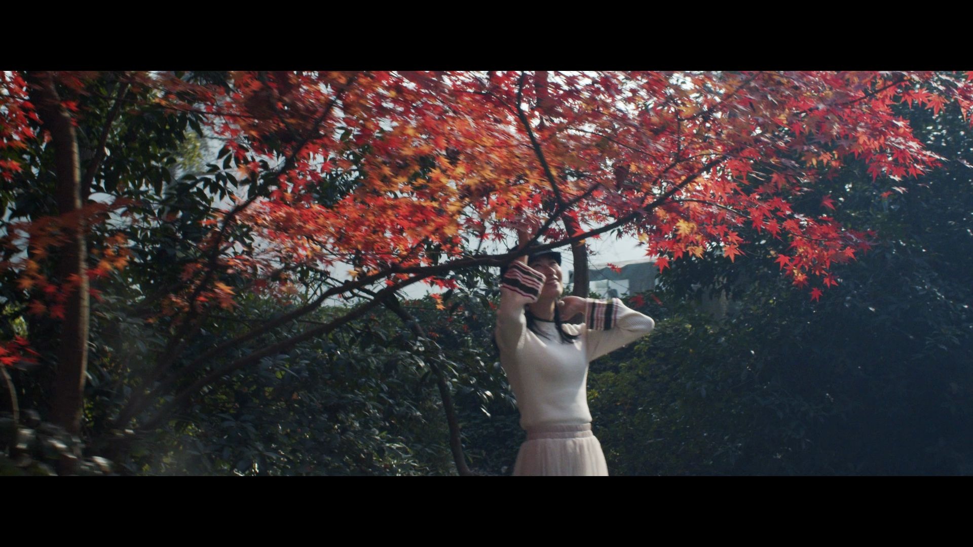 angenieux安琴25/1.