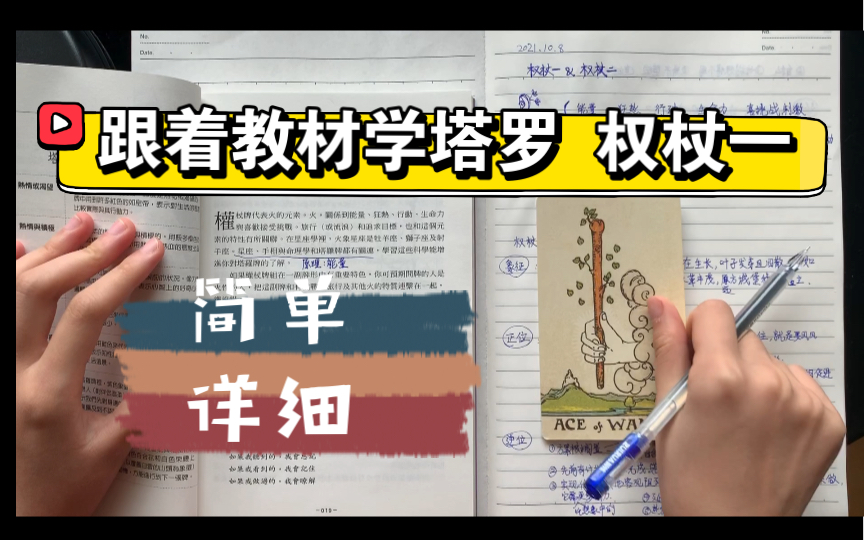 【露生】新手友好 跟着教材学塔罗 权杖一正逆位详解教学