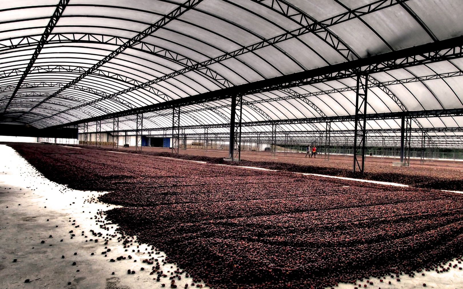 曼特宁独特的湿刨法经典的风味