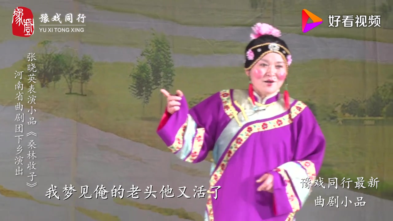 中原第一彩旦张晓英桑林收子