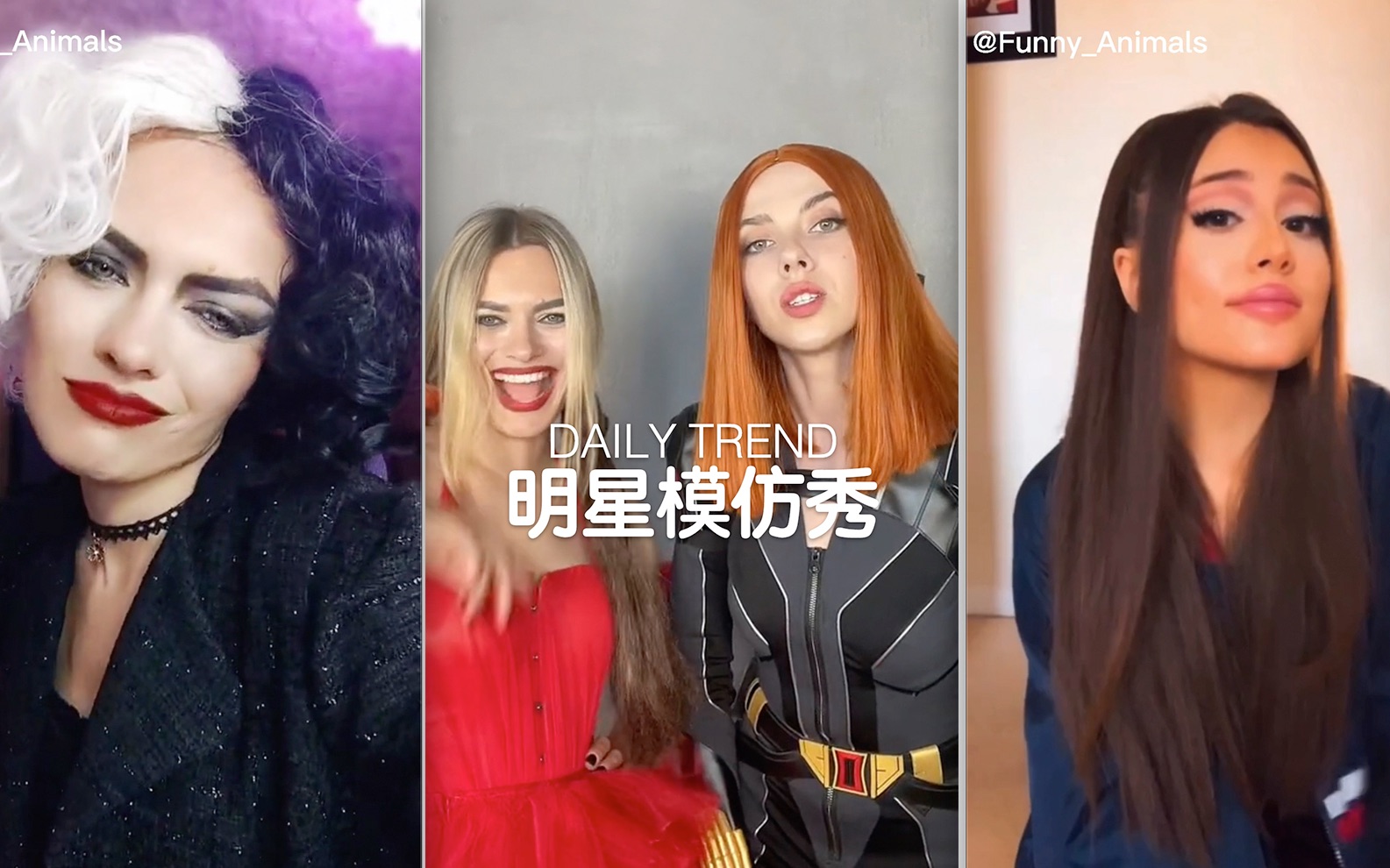 DAILY TREND | 明星模仿秀哔哩哔哩bilibili