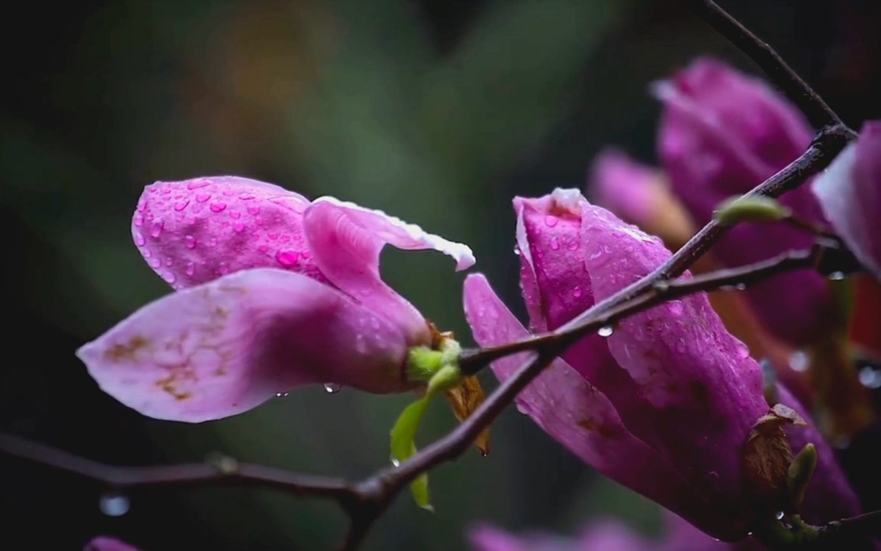 [图]“曲径通幽处，禅房花木深”——《题破山寺后禅院》