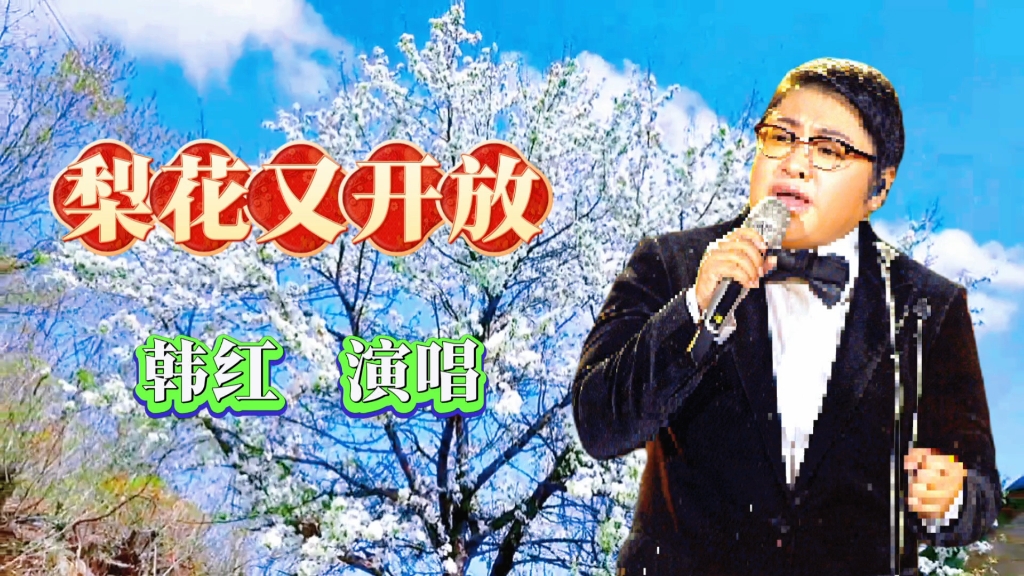 韩红演唱《梨花又开放》,深情演绎,完美呈现.哔哩哔哩bilibili