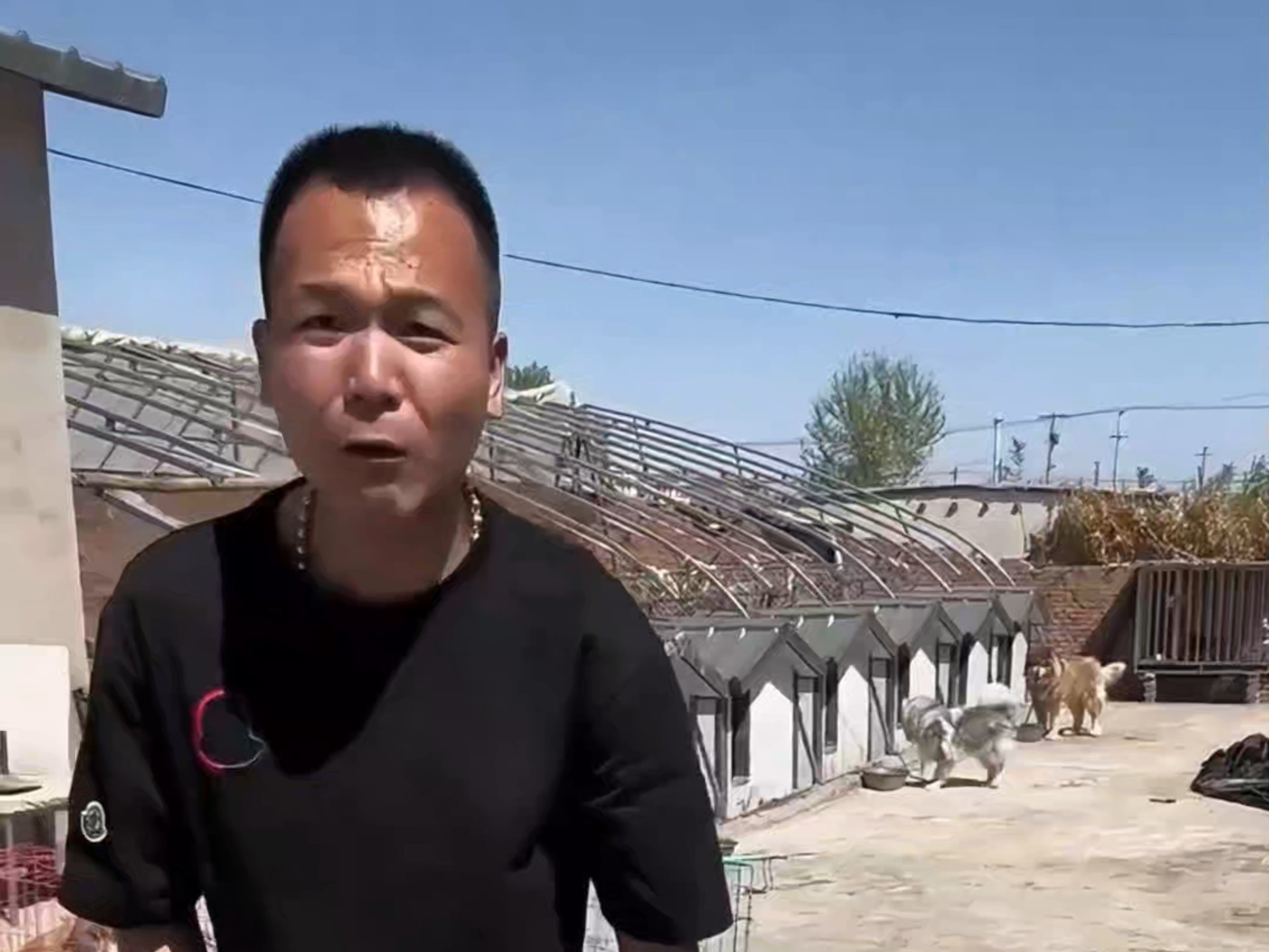 老弟你往后稍稍,让你看看飞天遁地!-潘宏爱玩狗66-潘宏爱玩狗66-哔哩哔哩视频