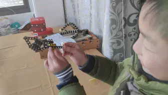 乐高moc_一个巴掌拍得响