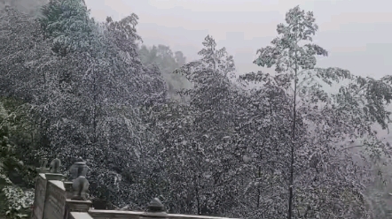 [图]2022第一场雪，