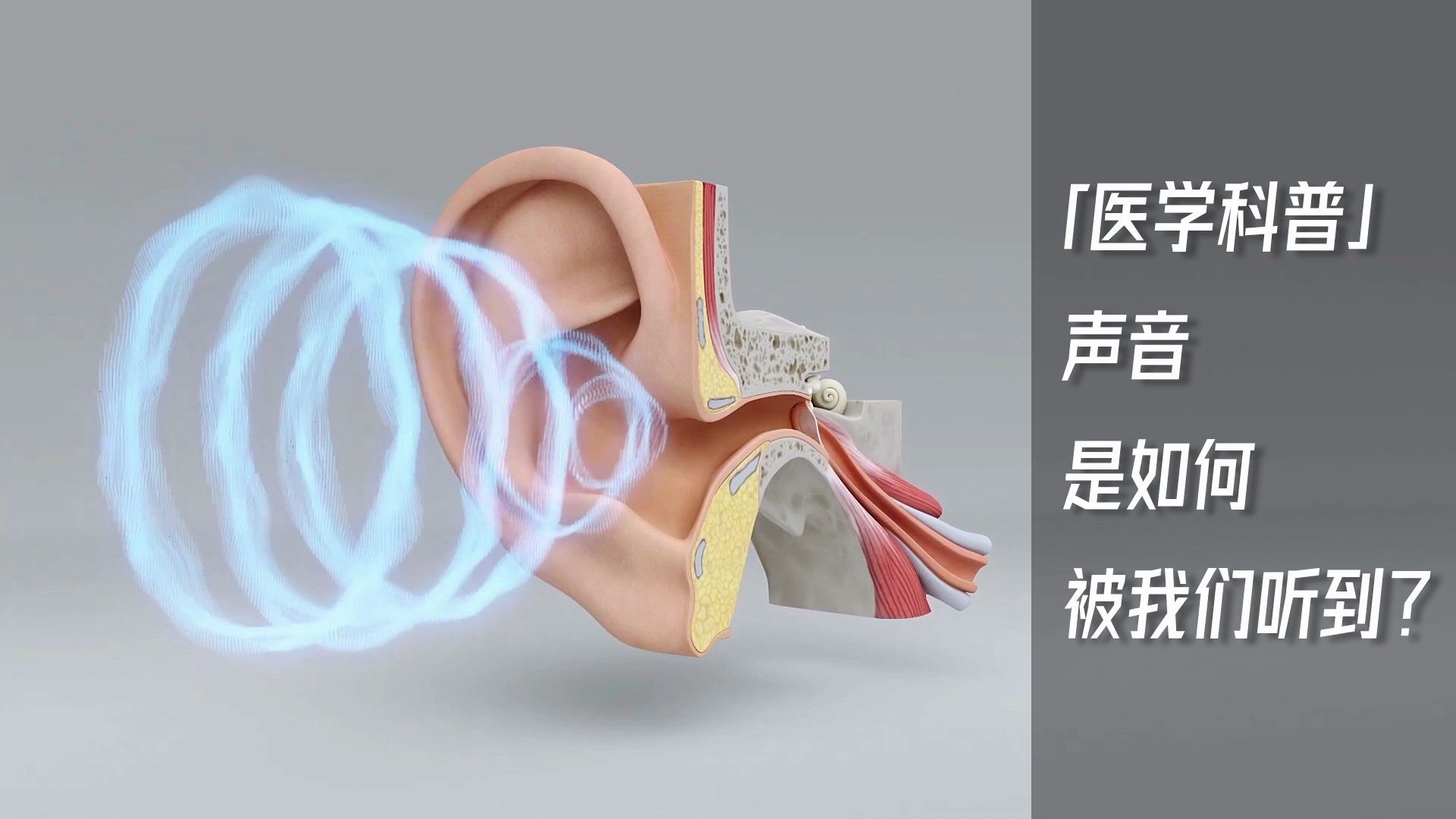 [图]「医学科普」声音是如何被我们听到？