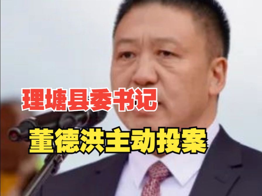 甘孜州理塘县委书记董德洪主动投案哔哩哔哩bilibili