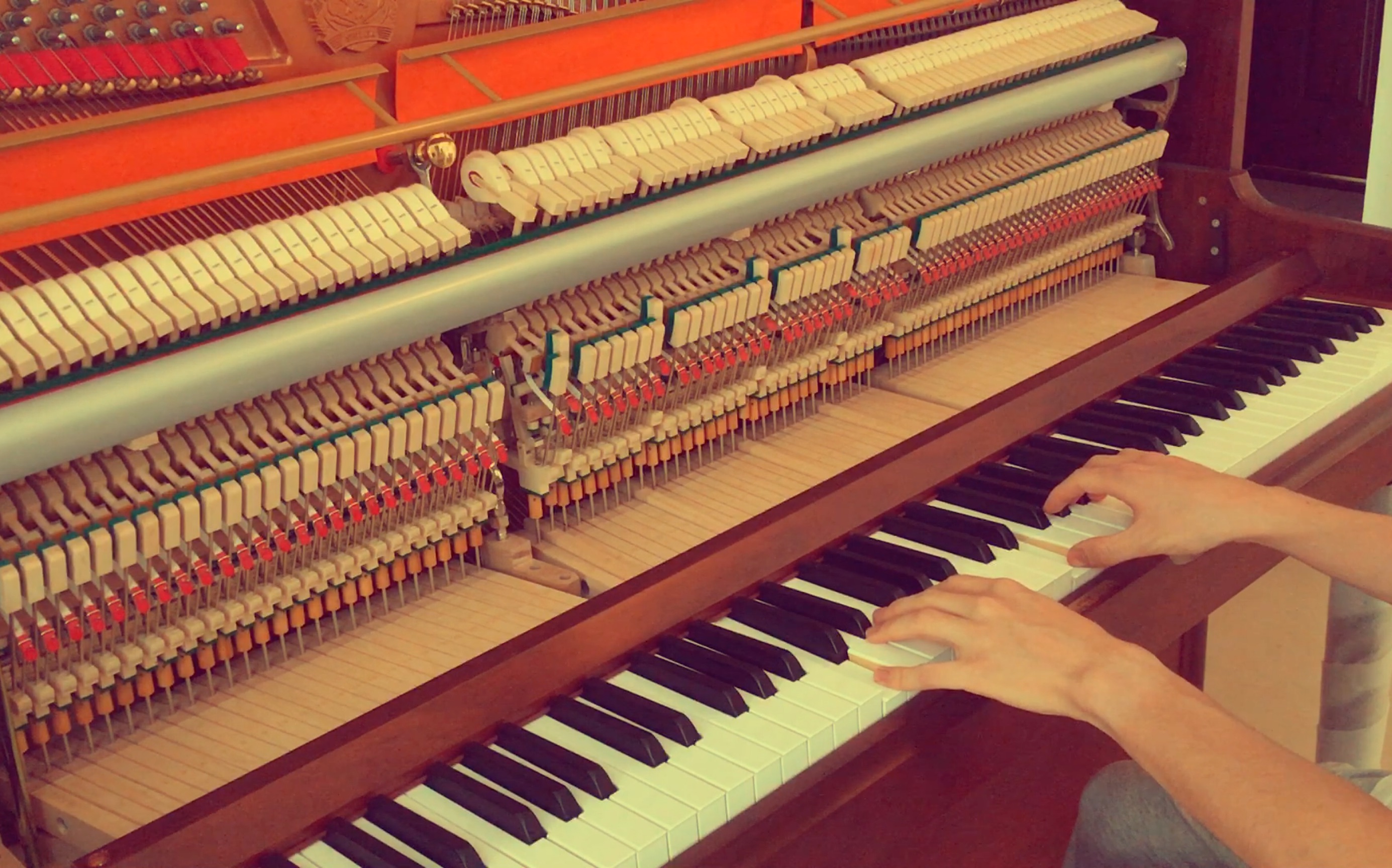 卡农和弦15634145