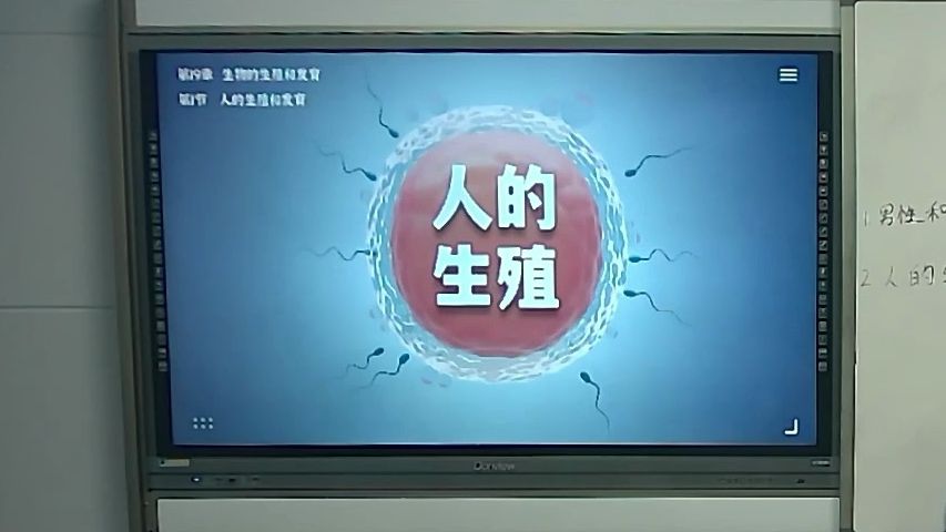 初中生物 人的生殖和发育(人的生殖过程)哔哩哔哩bilibili