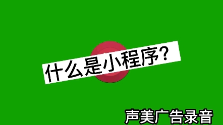 什么是小程序?小程序介绍#小程序开发 #微信小程序 #广告录音#企业服务 #小程序哔哩哔哩bilibili