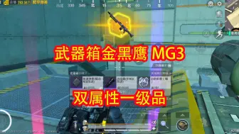 Download Video: 武器箱开出金黑鹰MG3，双属性有个极品，用它赚千万