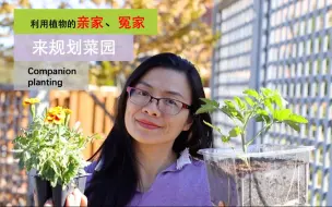 Download Video: 【植物亲家】111•种植/植物有亲家和冤家，怎样利用这些关系帮助我们增产又节约时间？用实际的菜地来示范