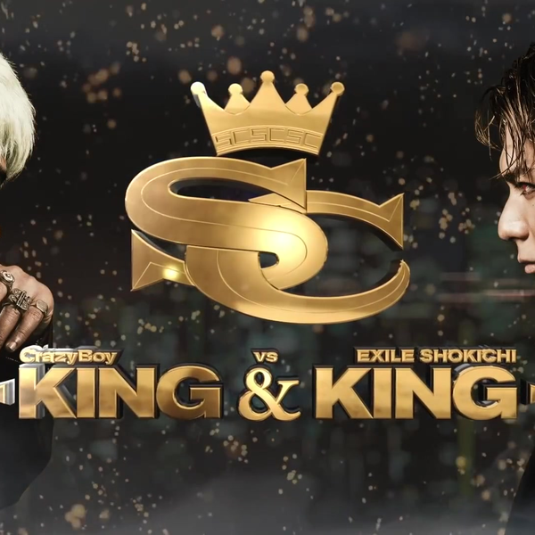 最終値下げ】SHOKICHI オンラインカプセル クッション