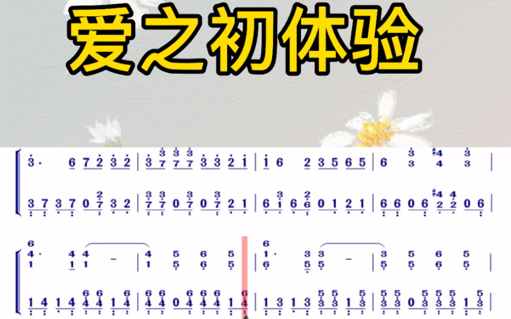 钢琴电子琴双手弹奏简谱编配《爱之初体验》简单易学哔哩哔哩bilibili