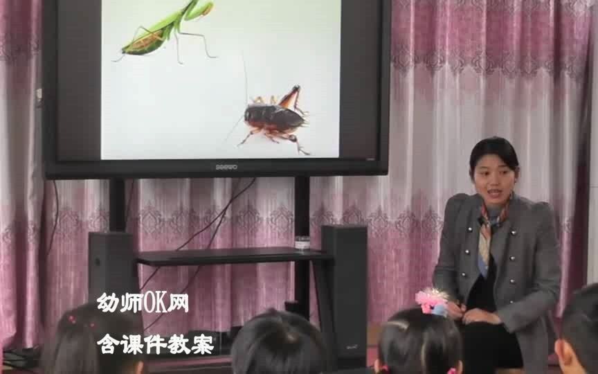 中班科学公开课《有趣的昆虫》含PPT课件教案 幼儿园优质课课程 上课教学优秀示范课哔哩哔哩bilibili