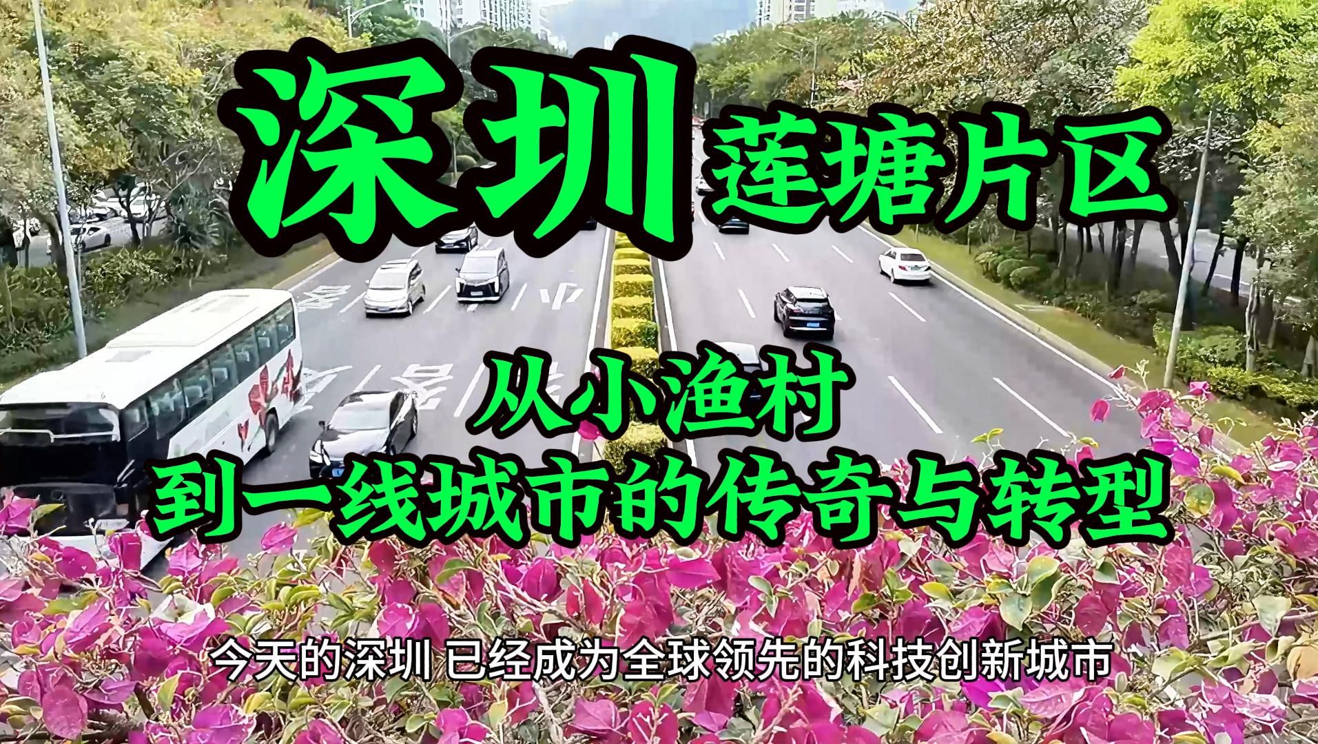 深圳莲塘片区:从小渔村到一线城市的传奇与转型.深圳小公园随拍哔哩哔哩bilibili