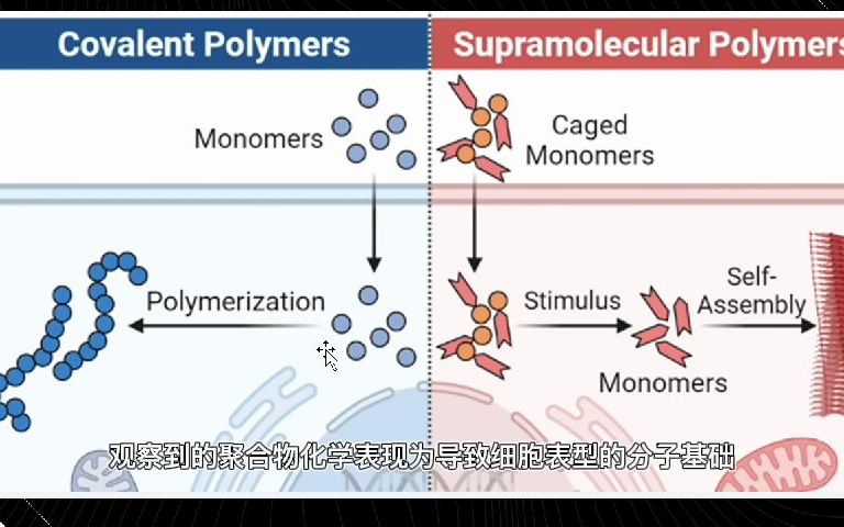 每日一合成生物学进展 2022.10.7 活细胞中的聚合物化学.哔哩哔哩bilibili
