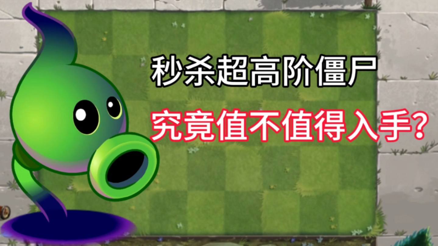 暗影豌豆测评!升到5阶到底值不值得呢?PVZ2