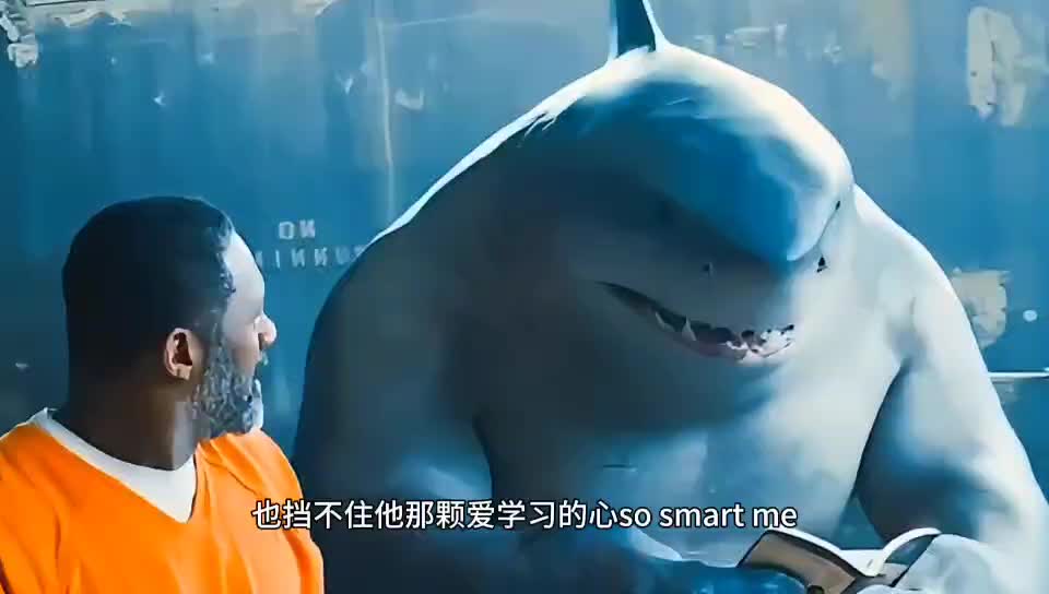 你没见过的鲨鱼王,这是条爱学习的鲨鱼王