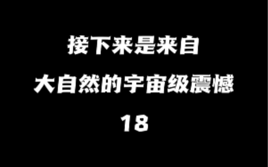 【取图看置顶评论】观看建议:擦干净手机屏幕,打开护眼模式,手机亮度调到最大,一起感受来自大自然的震撼!!!#治愈系风景 #视觉震撼 #我要上热门...