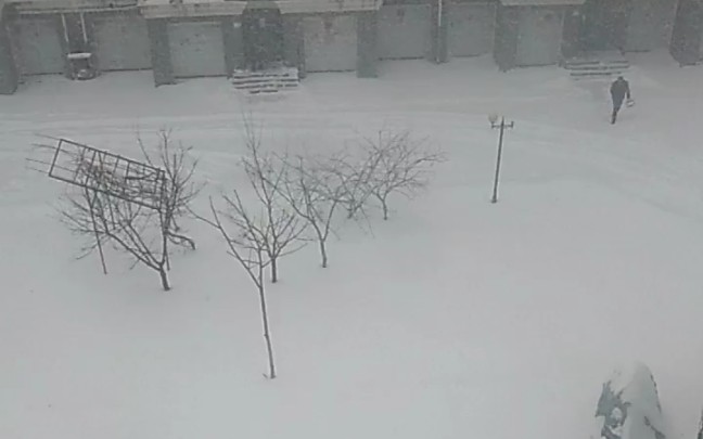 黑龙江大暴雪哔哩哔哩bilibili