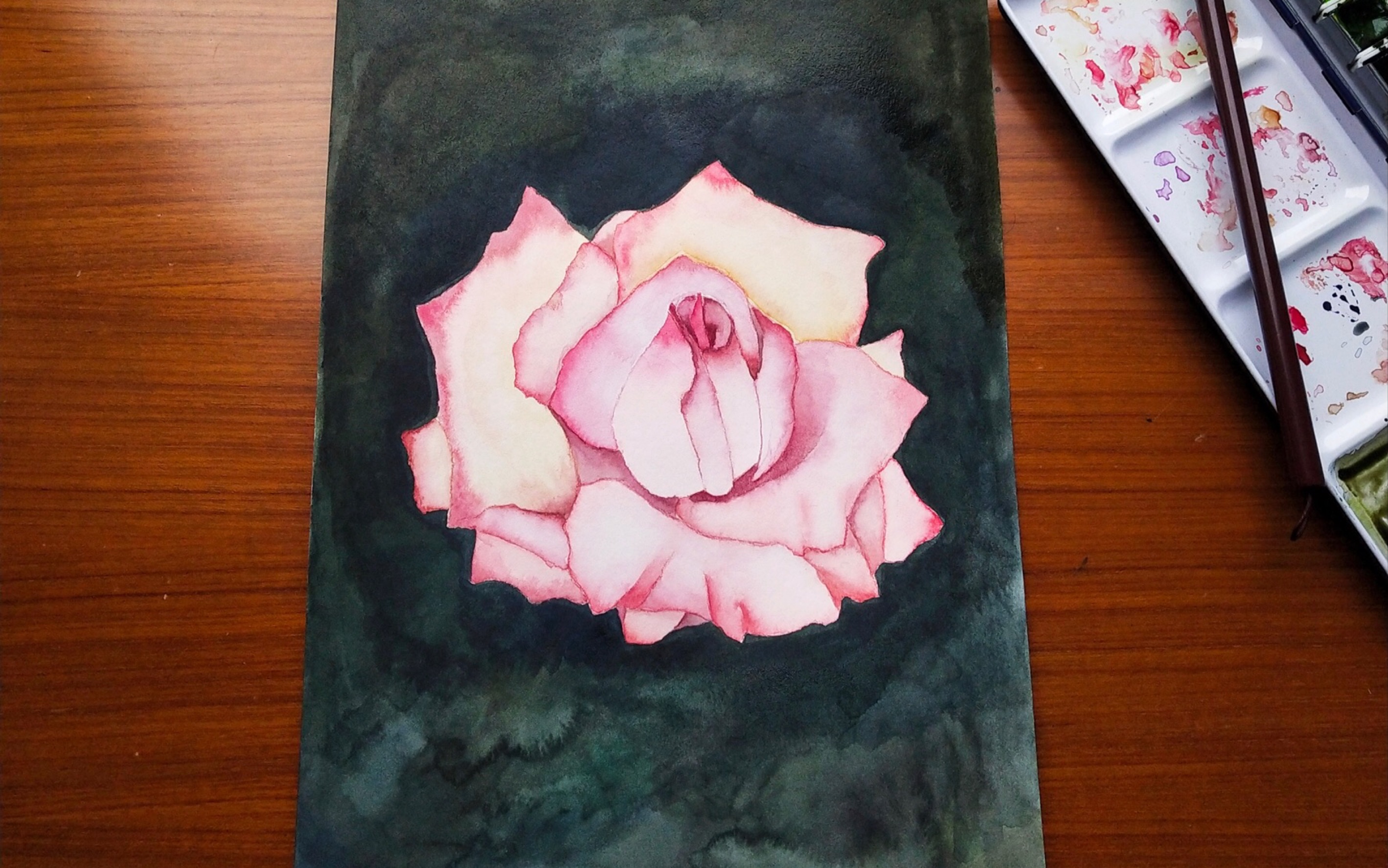 【水彩|黄有维玫瑰之约上色】