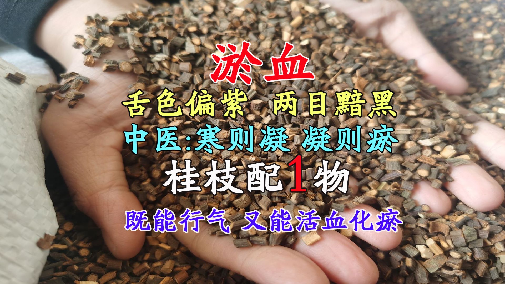 瘀血,舌色偏紫,兩目黯黑,桂枝配1物,既能行氣,又能活血化瘀