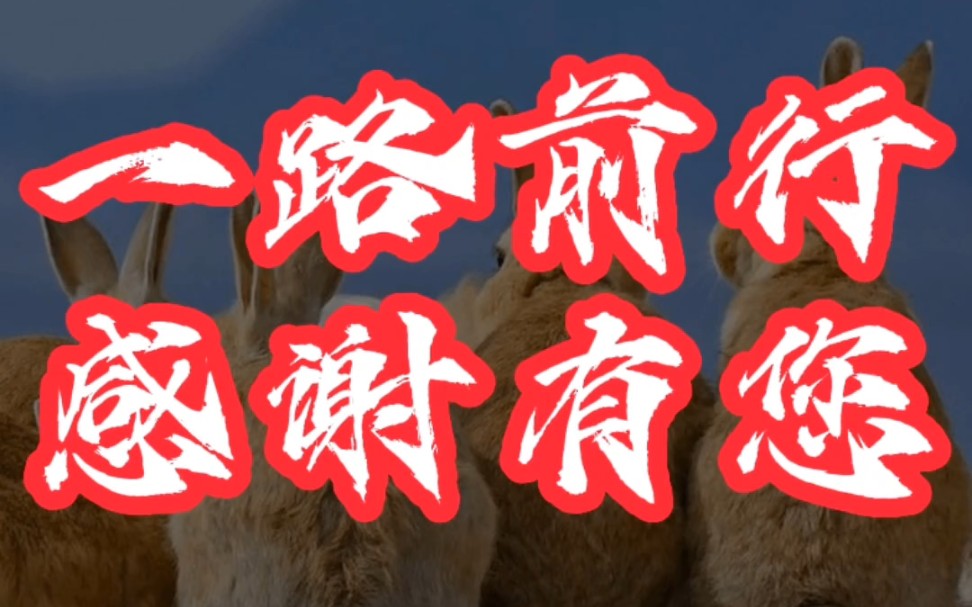 一路前行,感谢有您! #家兔肉兔种兔养殖 #肉兔养殖 #情感