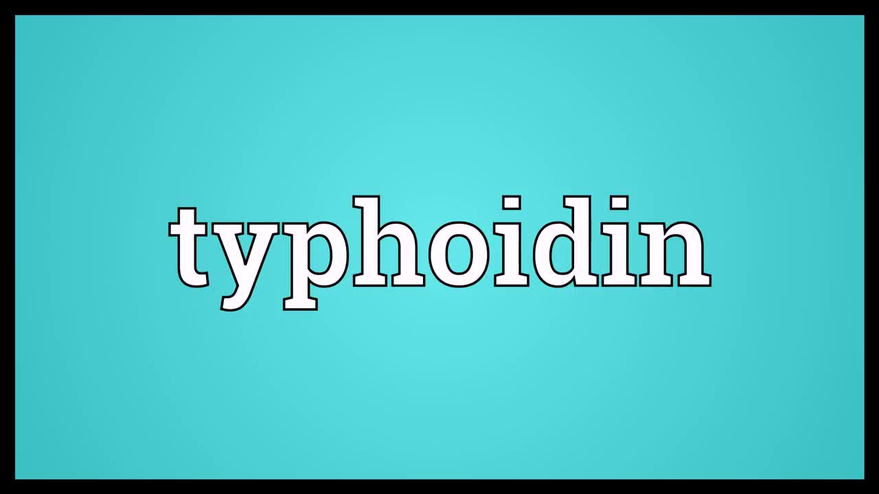 Typhoidin Meaning哔哩哔哩bilibili