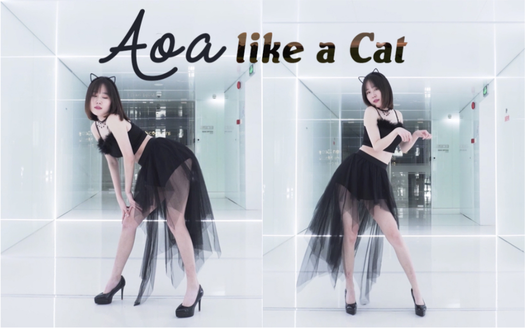 【Hyan】like a cat 猫步轻俏 性感猫系女友 在线夺你心哔哩哔哩bilibili